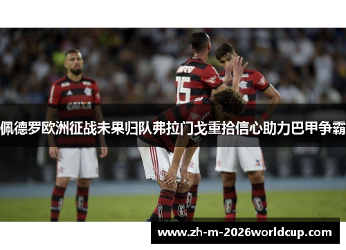 佩德罗欧洲征战未果归队弗拉门戈重拾信心助力巴甲争霸
